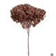 Reddish Brown Hydrangea | Wholesale Preserved Flowers